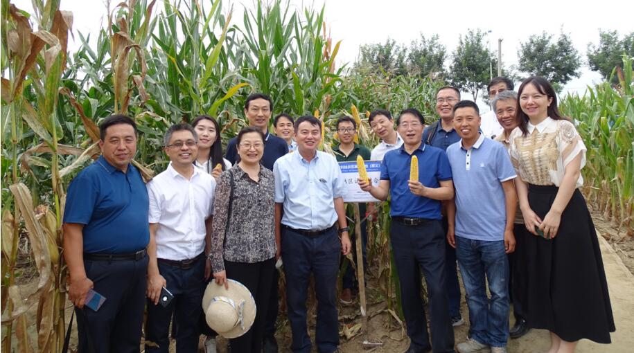 2021年9月,中國農村技術開發中心黨員干部深入田間地頭,赴中國農業科 學院作物科學研究所玉米試驗基地調研座談。