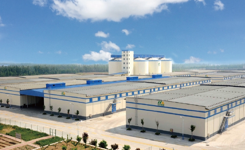 新建成的山東省魯中國(guó)家糧食儲(chǔ)備庫(kù)。