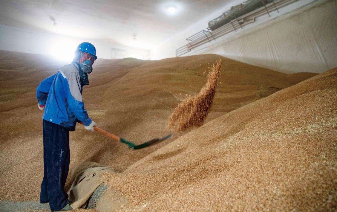 2023年6月13日，工作人員在泰州國(guó)家糧食儲(chǔ)備庫(kù)對(duì)糧食進(jìn)行入庫(kù)。