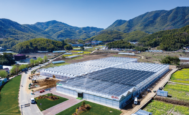 中信銀行提供貸款支持的浙江省余姚市梁弄鎮橫坎頭村蔬菜無土栽培基地項目。