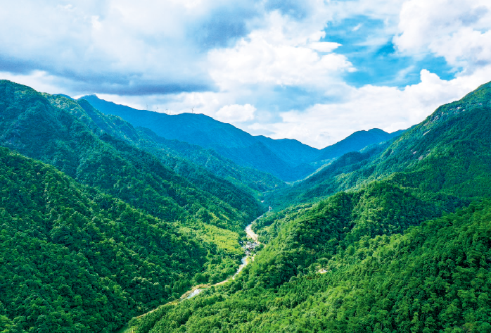 廣西法學會首席法律咨詢專家團隊經過努力,成功化解賀州姑婆山天沐溫泉國際旅 游度假區項目因轉包引發的勞務糾紛,切實維護了人民群眾合法權益。圖為姑婆山自治 區級自然保護區一角。