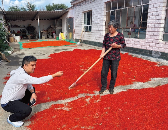 2024年7月19日，作者（ 左） 在塔城地區裕民縣調研紅花 產業，走訪紅花種植農戶。