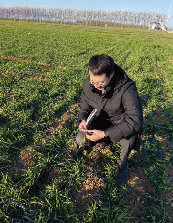 作者在浙江省永康市古山鎮(zhèn)調(diào)研油菜、小麥長勢。