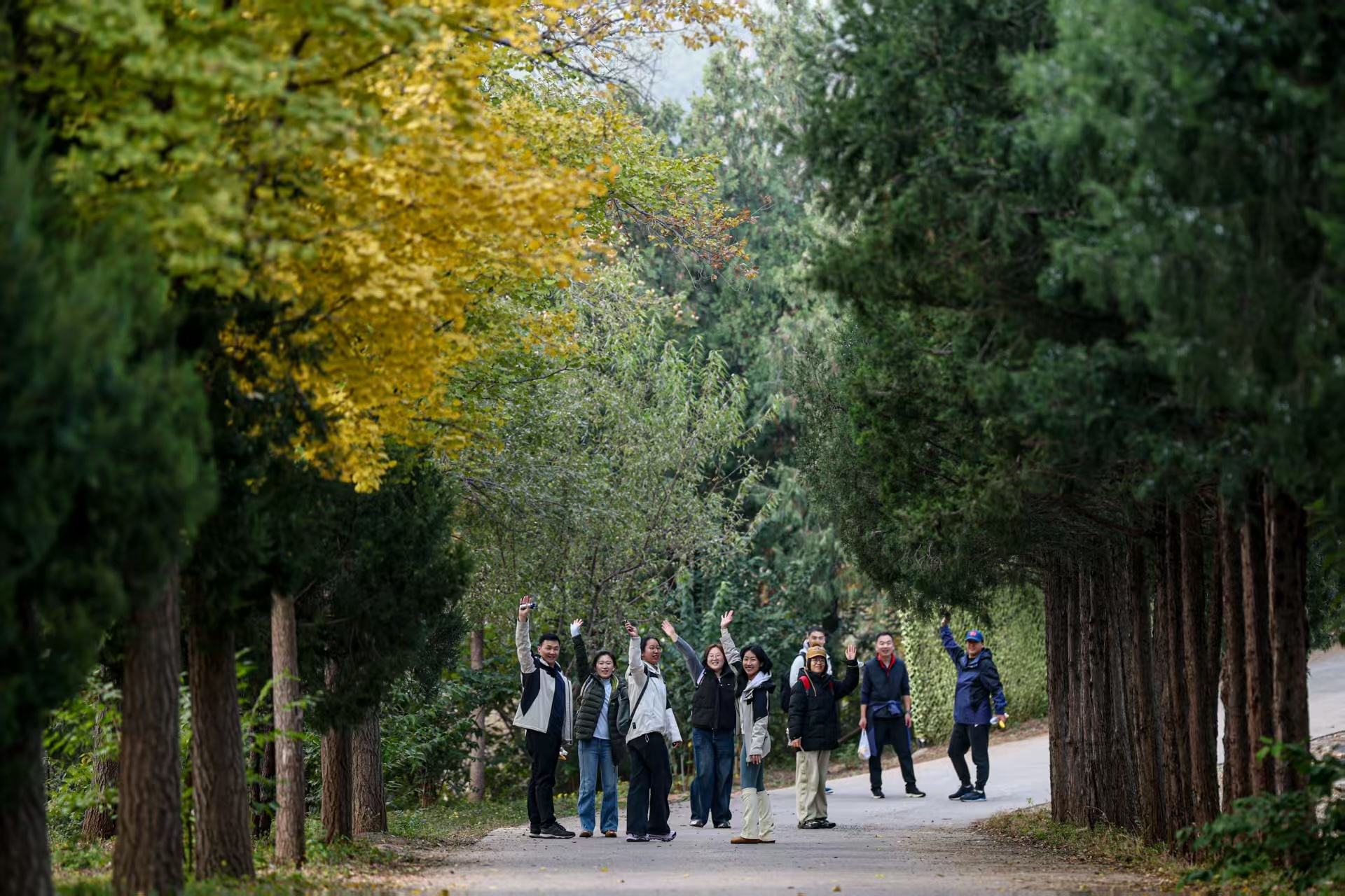 10月31日,國家體育總局在北京西山國家森林公園舉辦2025年秋季登高活動。