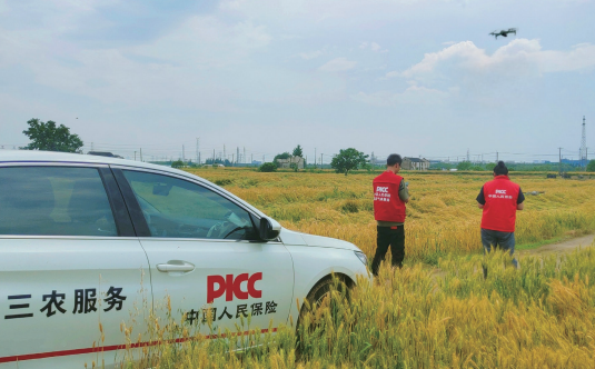 > 2025年5月15日，中國人保財險江蘇分公司進行現場查勘，積極開展“三農”賠付工作。