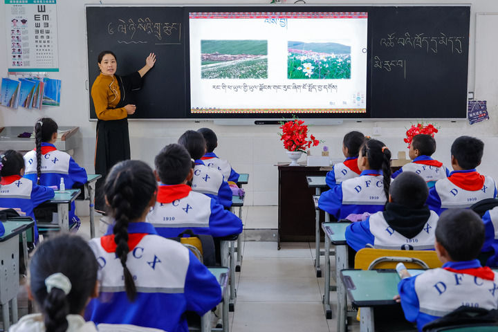 2024年9月27日，在四川省甘孜藏族自治州道孚縣城關第一完全小學，采取“藏加模式”教學的五年級一班的藏語文課上，準木周老師指導藏族學生以家鄉(xiāng)草原風物為主題寫作藏語文作文。新華社記者 沈伯韓 攝